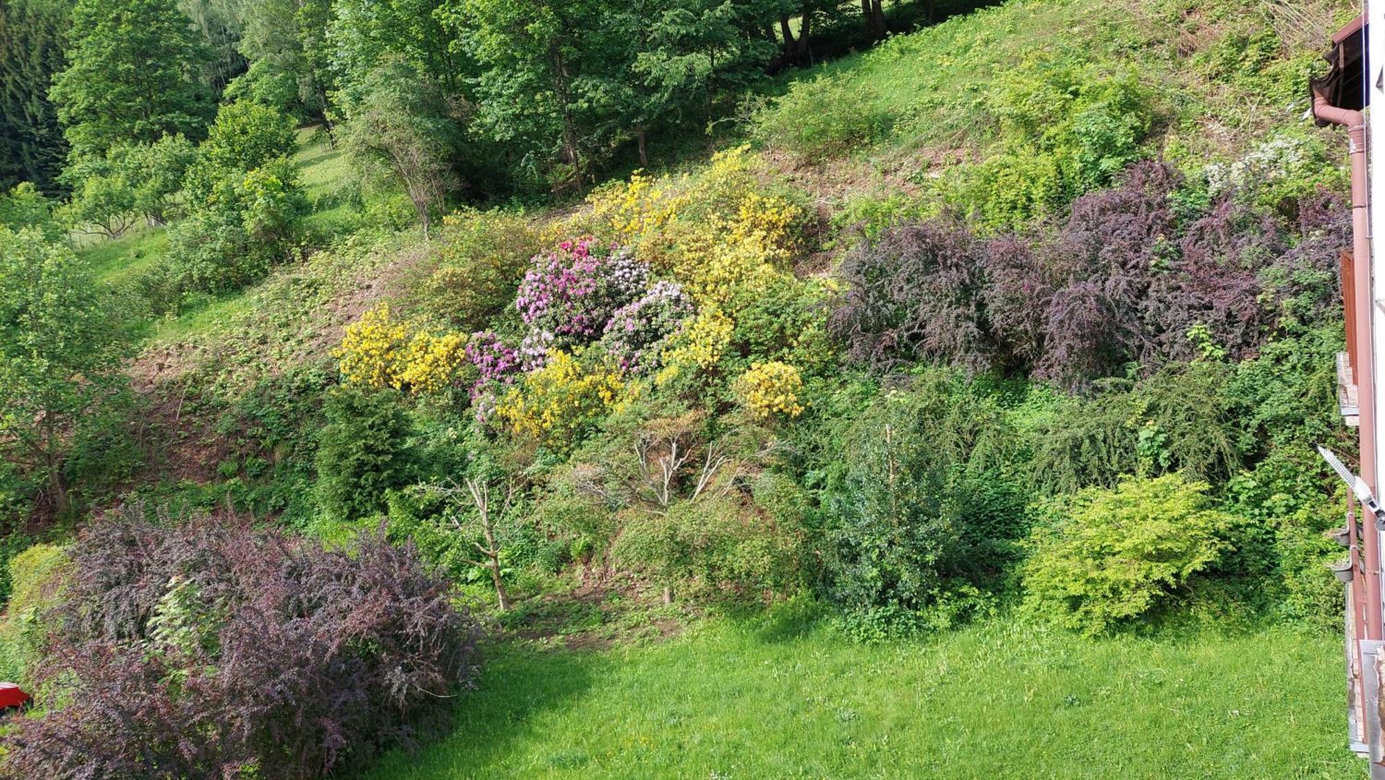 Miedzygorski * Wölfelsgrund