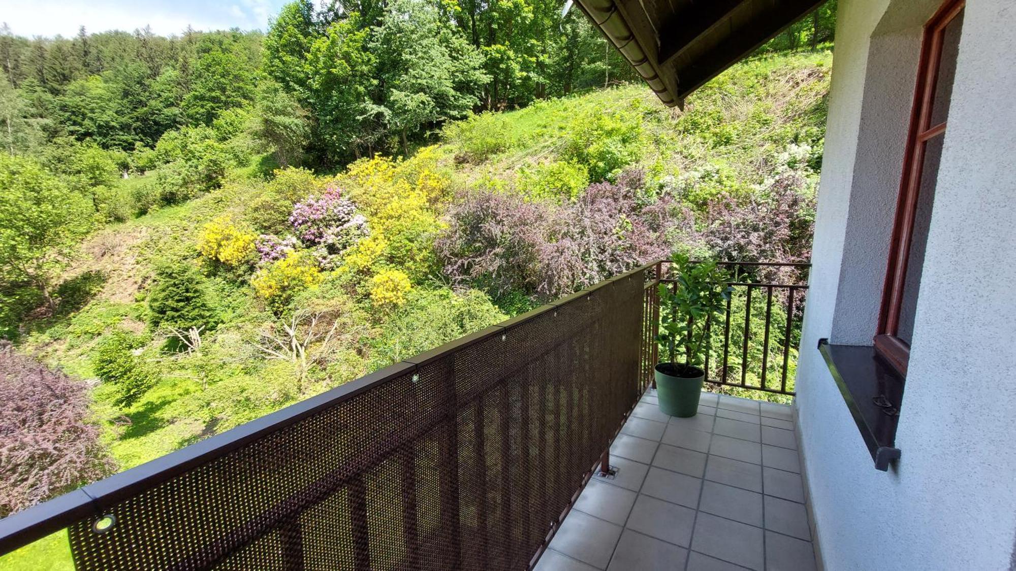 Apartment Miedzygorski Miedzygorze